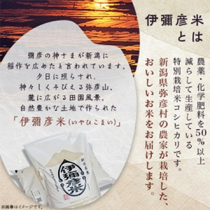 ＜伊彌彦米と伊彌彦醤油＞(白米2kg×2袋･醤油500ml×1本) セット品 | セット品