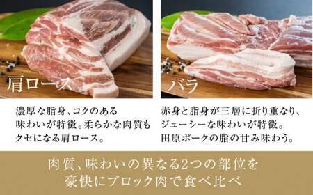 国産 豚肉 ブロック 肩ロース・バラ 食べ比べ 1kg×2 計2kg 田原ポーク