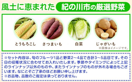 の恵み旬のフルーツ＆野菜セット計3～5品《30日以内に出荷予定(土日祝除く)》フルーツ果物野菜セット---wfn_cwlocal16_30d_23_11000_3h5h---