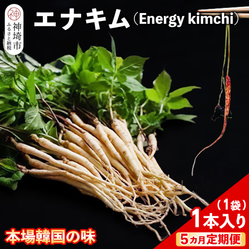 【5カ月定期便】【一子相伝】秘伝のエナキム(高麗人参スプラウト・キムチ)1袋1本入り【本場の味 秘伝の味 韓国 ピリ辛 健康志向 滋養強壮】(H104311)