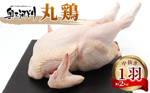愛知県産 銘柄鶏 奥三河どり 丸鶏 １羽 2ｋｇ 中抜き 国産 丸ごと一羽 冷凍 生 生鶏 チキン クリスマス パーティー バーベキュー BBQ アウトドア キャンプ ダッチオーブン チキン 鶏肉 鶏 高品質 平飼い -215
