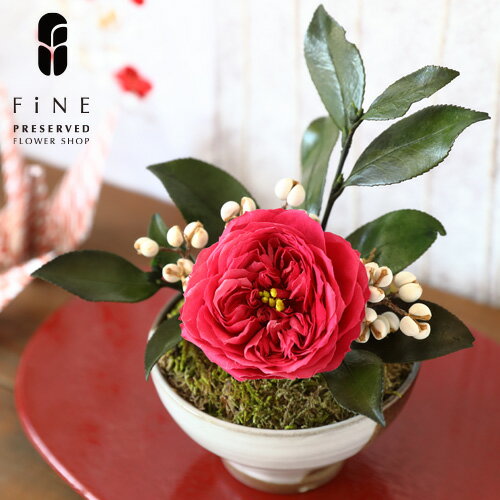 【ふるさと納税】 プリザーブドフラワー 花椿 ＜Fine＞ ｜花 ギフト プレゼント アレンジ おしゃれ 母の日 誕生日 結婚祝い 退職祝い お祝い