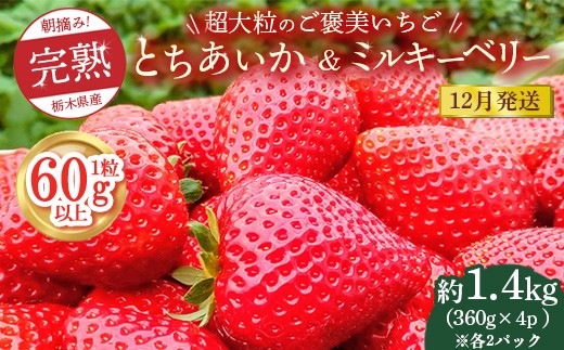 【先行予約】【12月発送】1粒60g以上！超大粒の《ご褒美いちご》朝摘み完熟とちあいか＆ミルキーベリー紅白セット 1440g(360g×各2p)　※離島への配送不可　※2025年12月上旬～12月下旬頃に順次発送予定