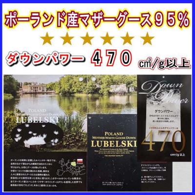 ふるさと納税 都留市 羽毛合い掛け 肌布団セミダブル2枚組ポーランド産マザーグース95%170×210cmdp470 |  | 01