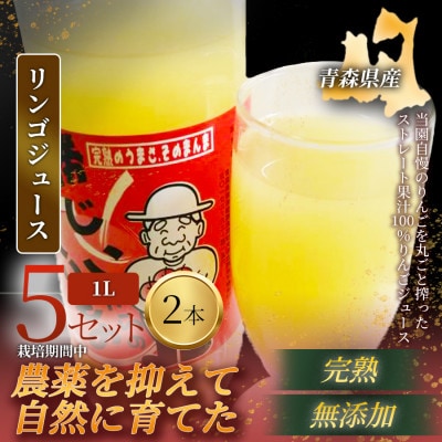 【栽培期間中農薬を減らしたりんごを丸ごと使用】リンゴジュース(1L×2本)5セット 青森産 限定生産【1700943】