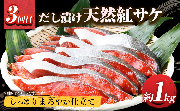 【定期便 全3回】 E サバフィレ 8枚 銀鮭切身 8枚 紅鮭切身 1kg 株式会社魚鶴商店《お申し込み月の翌月より出荷開始》 和歌山県 日高町 鮭 さけ 紅さけ 切り身 さば 塩さば 焼き魚 焼くだ