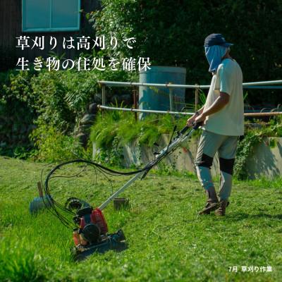 ふるさと納税 佐渡市 新潟県佐渡産 令和7年産 【亀の尾】 白米 5kg |  | 02