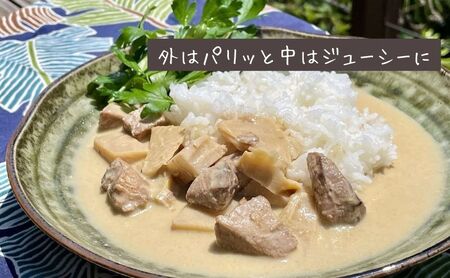 【漁師直送】知夫里島オリジナル鰤カレーセット 5食パック ココナッツ風味 隠岐 知夫里島 本格カレー