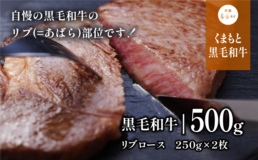 
くまもと黒毛和牛・リブロース約500g
