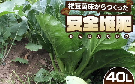 椎茸菌床からつくった安全堆肥 40L No.164