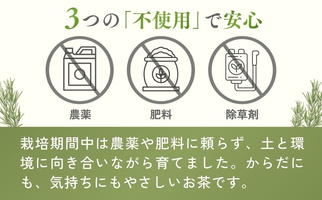 ハーブティー お茶 狭山茶 紅茶 和紅茶 ブレンドティー ティーバッグ ティーパック レモングラス ハーブ