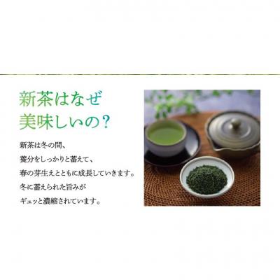 ふるさと納税 新宮町 【新茶】八女星野茶(100g×3本)/2026年5月〜7月中旬頃発送【八女茶】.AA329 |  | 02