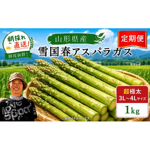 【令和9年産先行予約】 《定期便2回》 雪国春アスパラガス 約1kg (3L～4Lサイズ) × 2ヶ月 《令和9年5月上旬～発送》 『情野農園』 極太 グリーン 山形南陽産 農家直送 [2739]