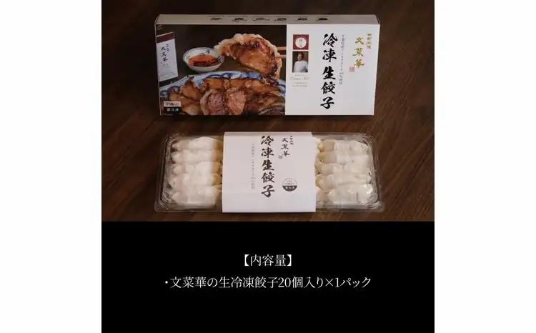 文菜華 ノンメタポーク100％使用の生冷凍餃子20個 〈 冷凍 餃子 冷凍食品 冷凍餃子 豚肉 ごはん 白米 中華 美味しい 人気 文菜華 〉