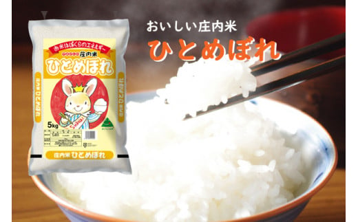 
            山形県産ひとめぼれ 5kg 令和6年産 2024年産【045-009A】
          