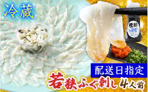 【TVで紹介されました】若狭ふぐ刺し セット 4人前｜旅サラダ ふぐ フグ 河豚 ふぐ刺し フグ刺し 河豚刺し ふぐてっさ てっさ フグてっさ 河豚てっさ ふぐ 冷蔵 とらふぐ ふぐ刺身   【配送不可地域：北海道・沖縄・離島】  [BFAC007]