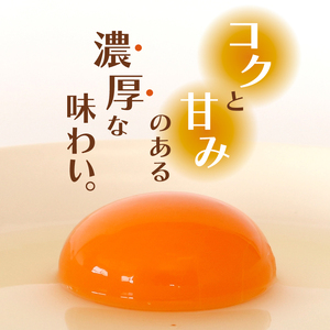 【卵 3回定期便】土佐ジローの卵 30個入 高知県 南国市