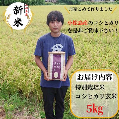 ふるさと納税 小松島市 【2025年9月より順次発送】コシヒカリ 玄米 5kg 特別栽培米 新米 一等米 こめ お米 健康 |  | 03