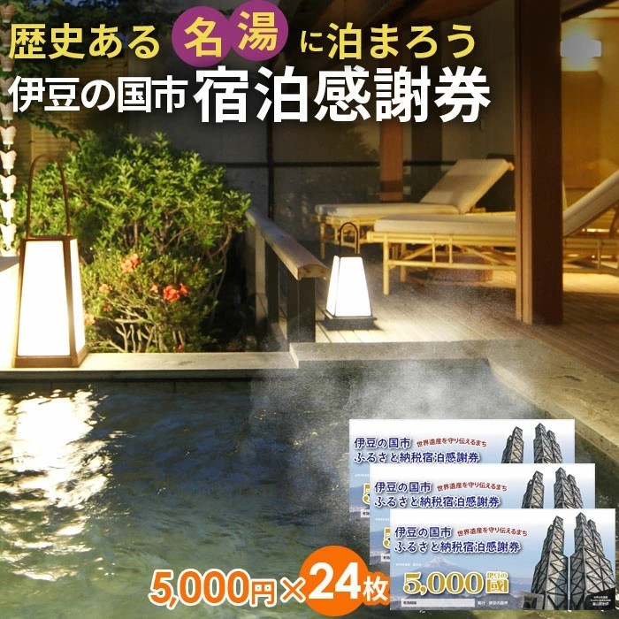 
                  伊豆の国市宿泊感謝券（5000円×24枚）| 旅行 伊豆 温泉 体験 旅行券 チケット 旅館 ホテル キャンプ トラベル 静岡県 伊豆の国市
                