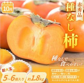 【定期便4回】旬の フルーツ定期便 / はれひめ みかん いちご まりひめ 桃 秀品 柿 種無し フルーツ 定期便 ふるーつ定期便 フルーツ 詰め合わせ 果物定期便 【kgr025】