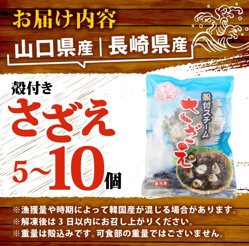 冷凍スチーム サザエ 5～10個 冷凍 約 1kg 下関 山口 《さわ水産：SW》 SW-SZ002