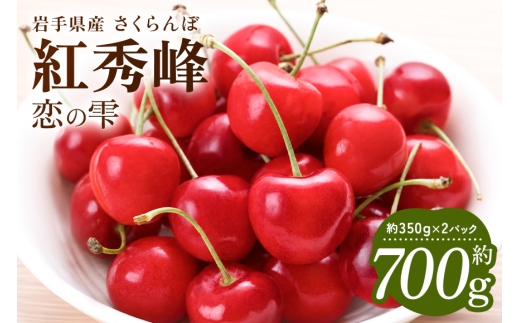 さくらんぼ 紅秀峰｢恋の雫｣ 約700g （約350g×2パック）【2026年6月25日～2026年7月15日発送予定】