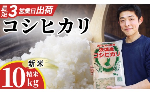 【新米】 コシヒカリ 精米 10kg  スピード発送 スピード出荷 最短3～7営業日出荷 即納 産地直送 茨城県 城里町 新米 精白米 米 ご飯 こしひかり 米 白米 精米 単一原料米 (AX029)