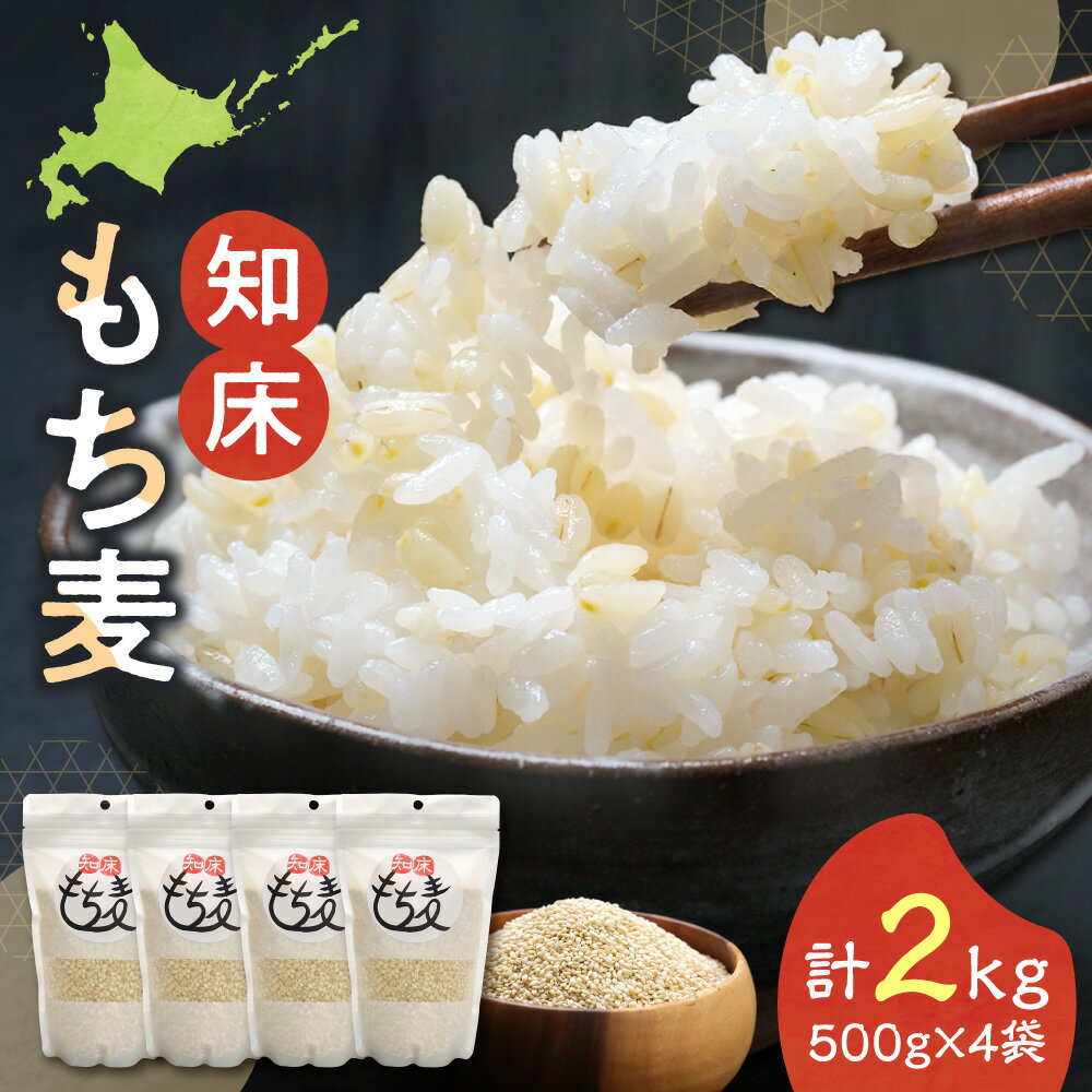 【ふるさと納税】知床もち麦(500g×4袋)2Kg　北海道産 斜里町産 処理済み モチムギ 精白麦 お米 ごはん 北海道 斜里町【配送不可地域：離島・沖縄県】