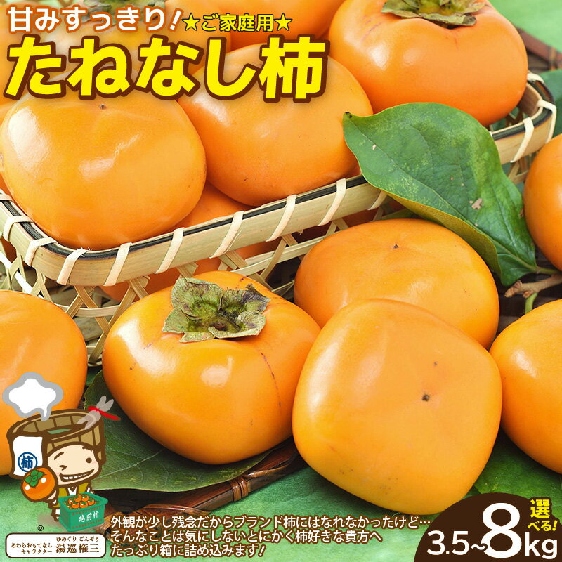 【ふるさと納税】【先行予約】【訳あり】 甘みすっきり！あわらのたねなし柿 【選べる容量】約3.5kg（18個入）/ 約8kg（32個～40個）（ご家庭用） ／ 果物 フルーツ かき 種なし 産地直送 期間限定 ※2025年10月中旬以降順次発送