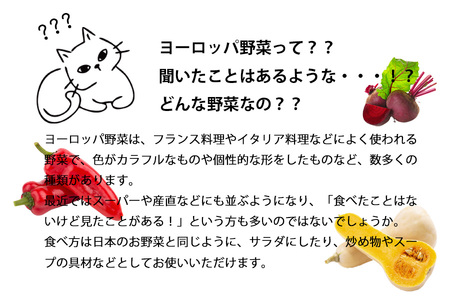 2024年9月より発送！ 野菜ソムリエ“産直松の実の松原店長”厳選！ヨーロッパ野菜BOX 8品 ／ 人気 産直 採れたて 野菜