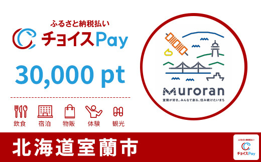 
            室蘭市チョイスPay 30,000pt【会員限定のお礼の品】
          