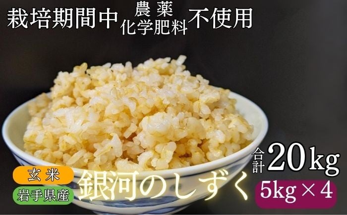 
            岩手県産 新米 銀河のしずく 玄米 20kg ／ 農薬 化学肥料 ：栽培期間中 不使用 武田家のお米【米農家 仁左ェ門】 米 こめ コメ ご飯 ライス おにぎり 弁当 単一原料米 ブランド米 ブランド 20キロ ２０kg 産地直送 農家直送 国産 おすすめ 人気
          