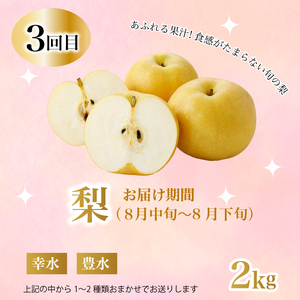 【定期便1年間】豪華フルーツお得パック いちご450g, さくらんぼ500g, 梨2kg, ぶどう2kg, りんご2kg 　詰め合わせ 定期便 1年間 採れたて 新鮮 産地直送 広島県三原市 0590