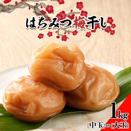 【ふるさと納税】 梅干し はちみつ梅干し 1kg 選べる 中玉 2L 大玉 3L 和歌山県産 株式会社とち亀物産 《30日以内に出荷予定(土日祝除く)》 和歌山県 日高町 梅 うめ はちみつ梅 蜂蜜 梅干し うめぼし 紀州南高梅 漬物 漬け物 ごはんのお供