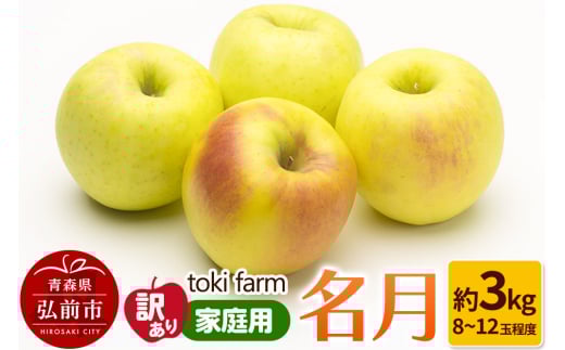 【25年10月クール便発送】りんご 名月 約3kg（8～12玉程度）【訳あり】家庭用 toki farm