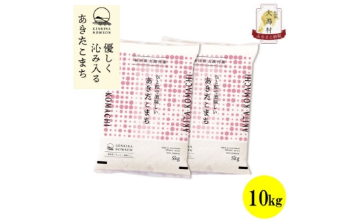 ＜毎月定期便＞秋田県産あきたこまち無洗米10kg(5kg×2)全6回【4073082】