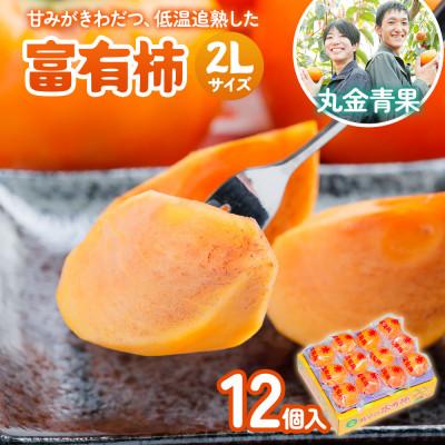ふるさと納税 本巣市 丸金青果 富有柿 2Lサイズ (12個入) 低温追熟【甘みがきわだつ、低温追熟した富有柿をお届け!】