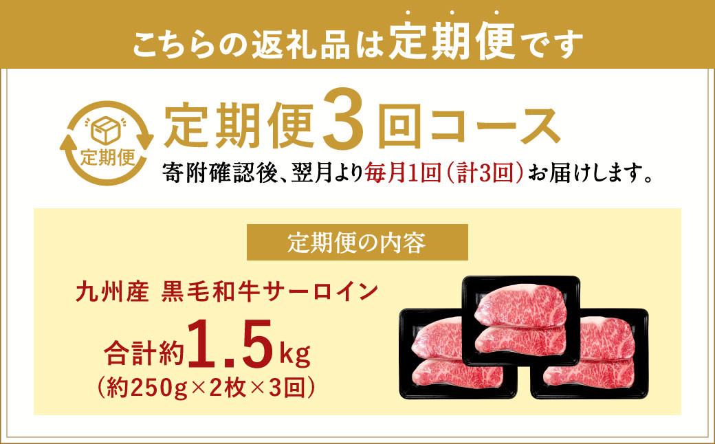 【3ヶ月定期便】 九州産 黒毛和牛 サーロインステーキ 合計約1.5kg (約250g×2枚×3回) 牛肉 国産 ステーキ サーロイン 牛肉 お肉 国産 日本産