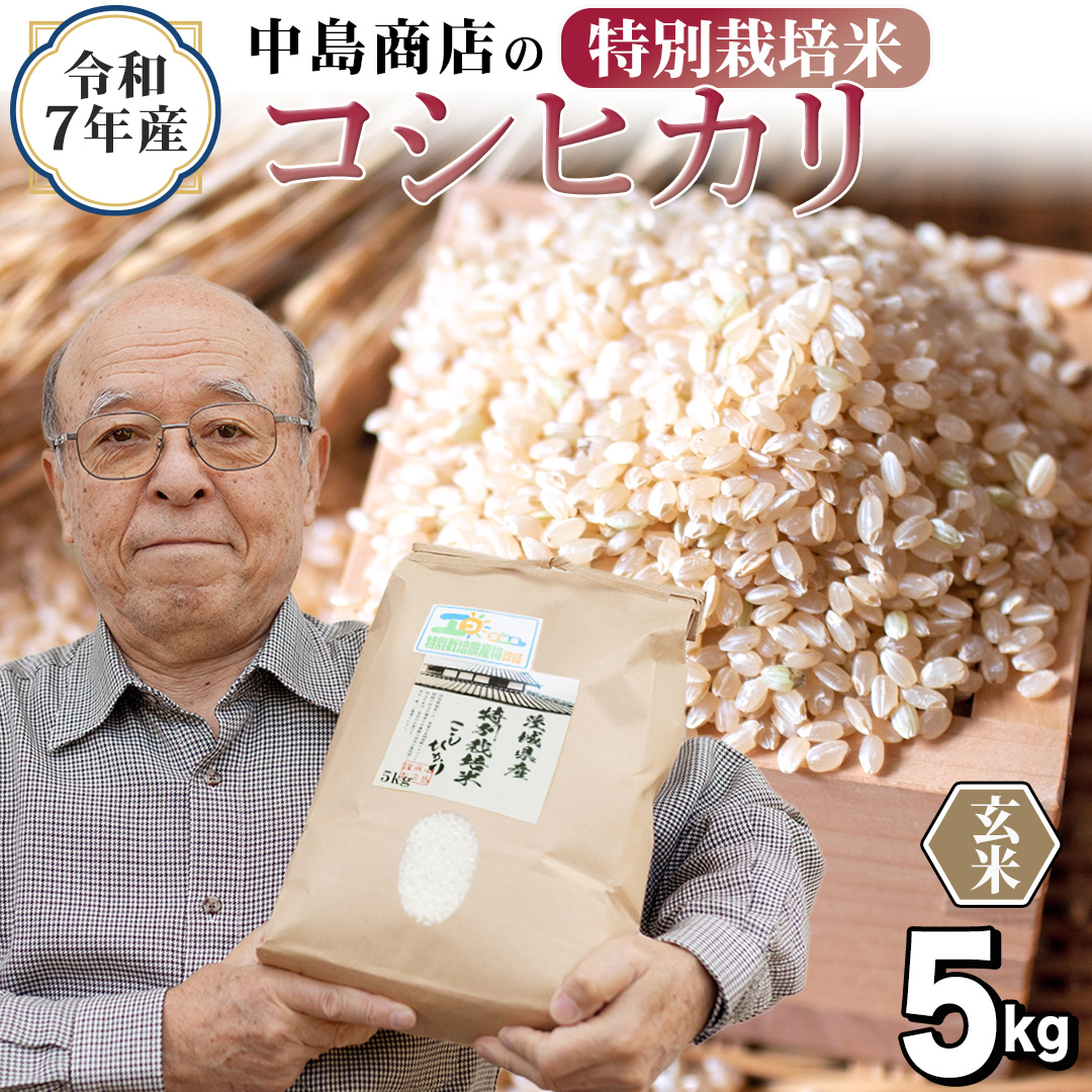＜ 新米 ＞ 令和7年産 茨城県産 玄米 特別栽培米 コシヒカリ 5kg （5kg×1袋） こしひかり 米 コメ こめ 単一米 限定 茨城県産 国産 美味しい お米 おこめ おコメ[EH35-NT]