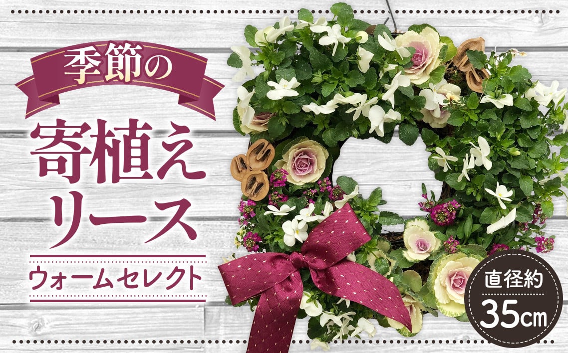 
No.147 【季節の寄植えリース】ウォームセレクト＊花工房すなが＊
