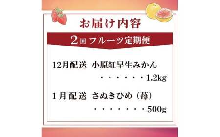 旬のフルーツ定期便 2回 Dコース フルーツ 定期便