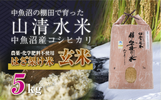 
            新潟県魚沼産コシヒカリ◇玄米５kg 栽培期間中農薬・化学肥料不使用「山清水米」はざ架け米
          