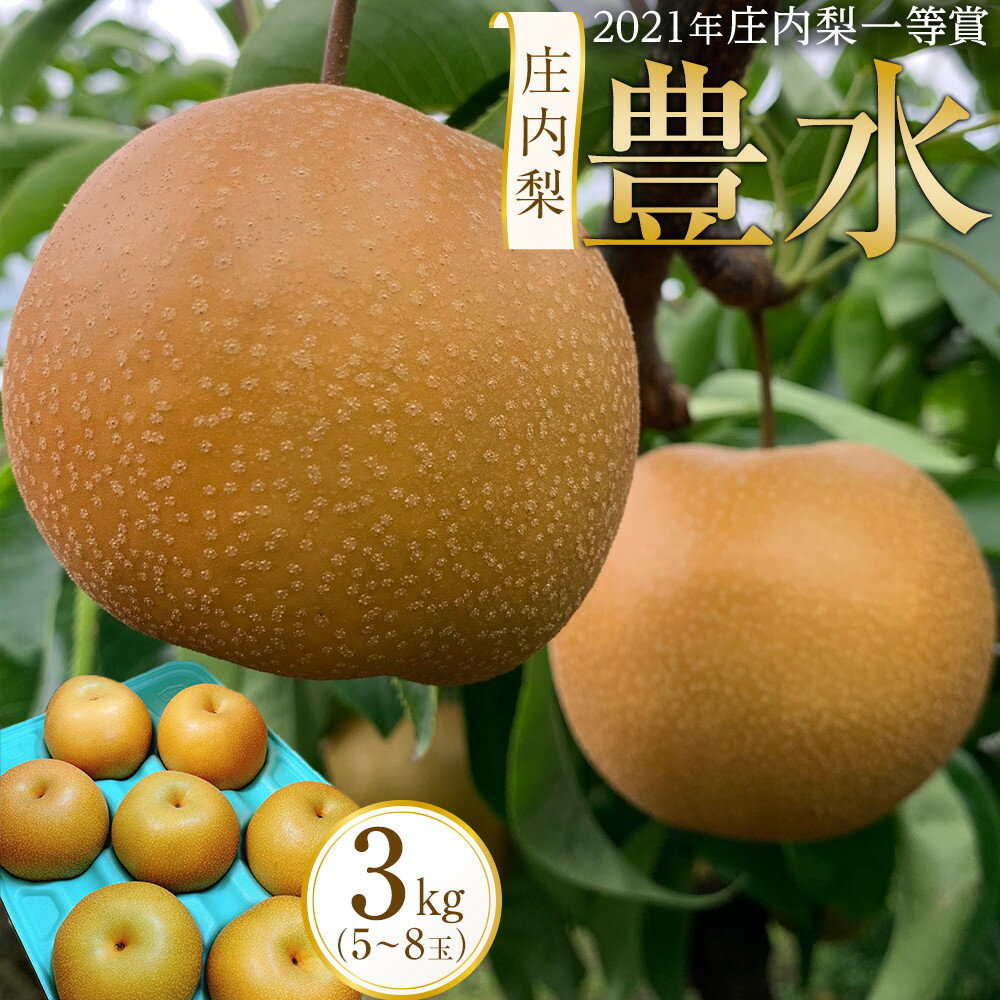 【ふるさと納税】＜2026年庄内梨一等賞＞庄内梨 豊水 3kg（5～8玉）【2025年9月上旬頃より発送】 | 果物 期間限定 なし 梨 フルーツ グルメ 人気 おすすめ 送料無料 お取り寄せ 取り寄せ 九州 大分県 由布市 湯布院 由布院 ゆふいん
