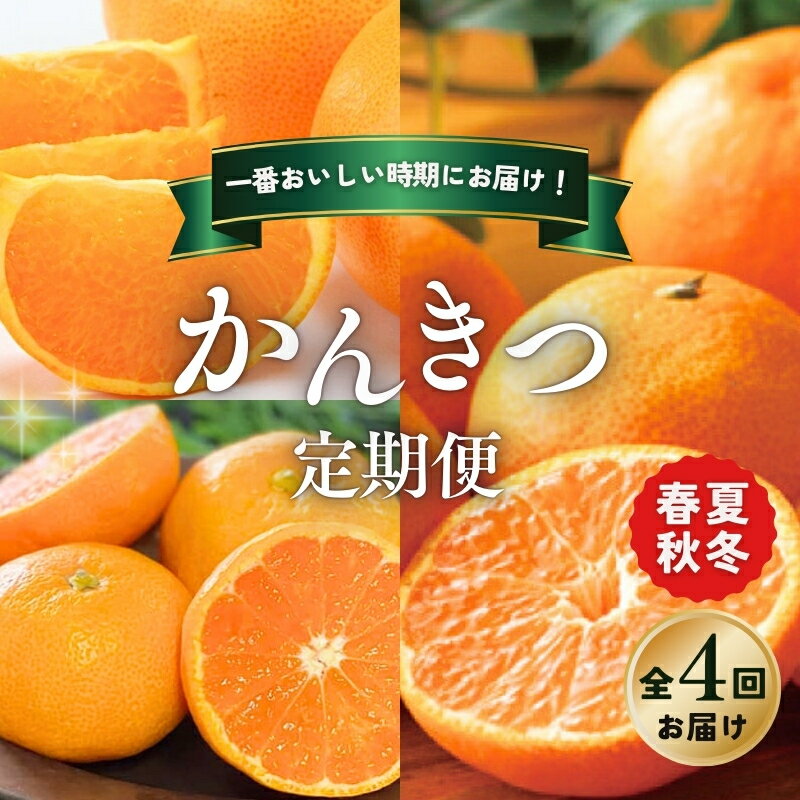 【ふるさと納税】 柑橘 定期便 石本果樹園 旬の柑橘を春夏秋冬でお届け！【全4回】 / フルーツ 果物 くだもの 柑橘 フルーツ定期便 くだもの定期便 定期便 みかん ミカン 温州みかん せとか カラマンダリン ハウスみかん 産地直送 旬 人気 おすすめ 三重県 紀宝町