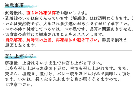 『予約受付』呼子のいか活造り3杯! コリコリ甘い鮮度抜群の透明感! 約200g×3(合計約600g) 刺身 ギフト 冷凍 ※水揚げあり次第6月以降順次発送させていただきます。