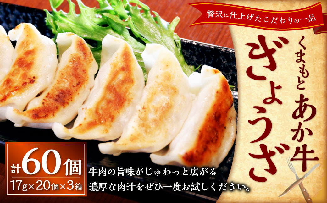 
            熊本和牛あか牛ぎょうざ60個（あか牛ぎょうざ20個入り×3箱）計60個 あか牛 餃子 ぎょうざ 焼餃子 牛肉 お肉 肉 褐牛 褐毛和種 和牛 国産牛 熊本県 上天草市 冷凍
          