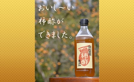 柿酢～美味しいレシピ付き～