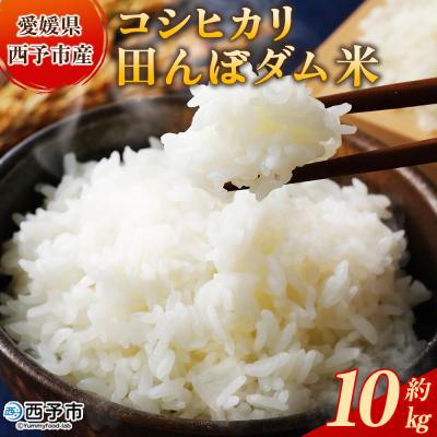 ふるさと納税 西予市 新米&lt;令和7年産 愛媛県西予市産 コシヒカリ 田んぼダム米 10kg&gt; 選べる 10キロ こしひか