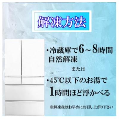 ふるさと納税 藤枝市 自然薯 100% 冷凍 味付けとろろ汁 8個セット |  | 02