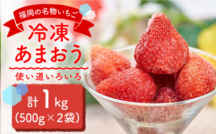 【2026年4月以降発送】先行予約！福岡産 冷凍 あまおう 1kg （500g×2袋）＜南国フルーツ株式会社＞那珂川市 [GCD005]